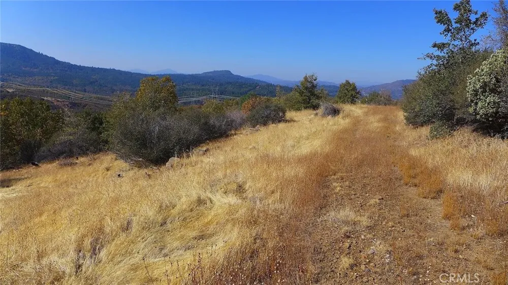 Crestline Drive Round Mountain, CA 96084