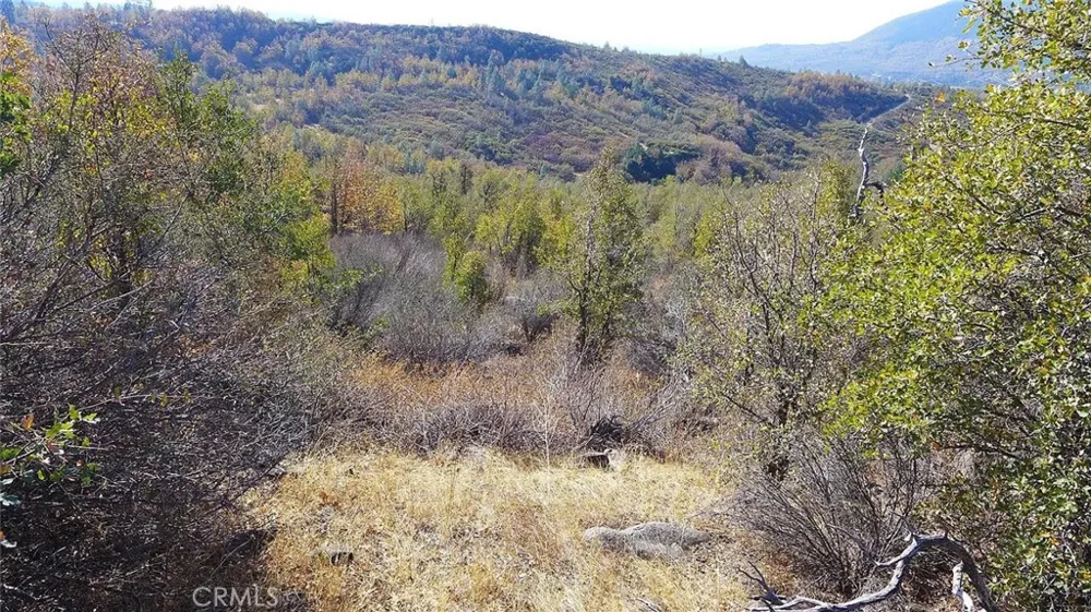 Crestline Drive Round Mountain, CA 96084