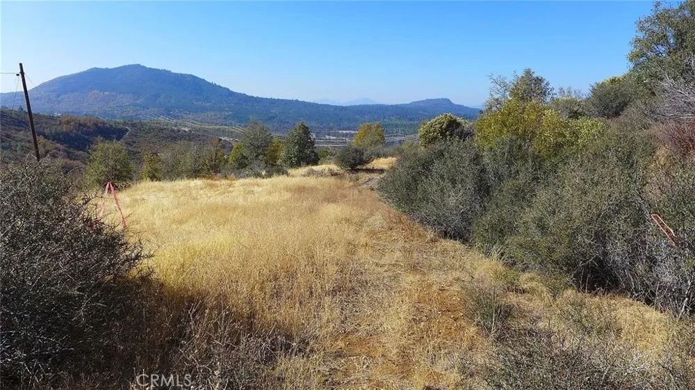 Crestline Drive Round Mountain, CA 96084