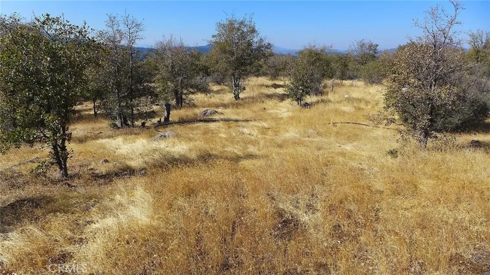 Crestline Drive Round Mountain, CA 96084