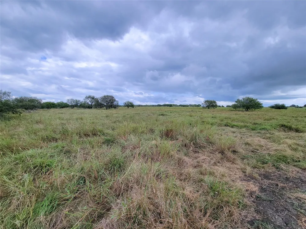 Fm 956 Schulenburg, TX 78956