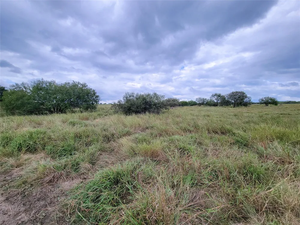 Fm 956 Schulenburg, TX 78956