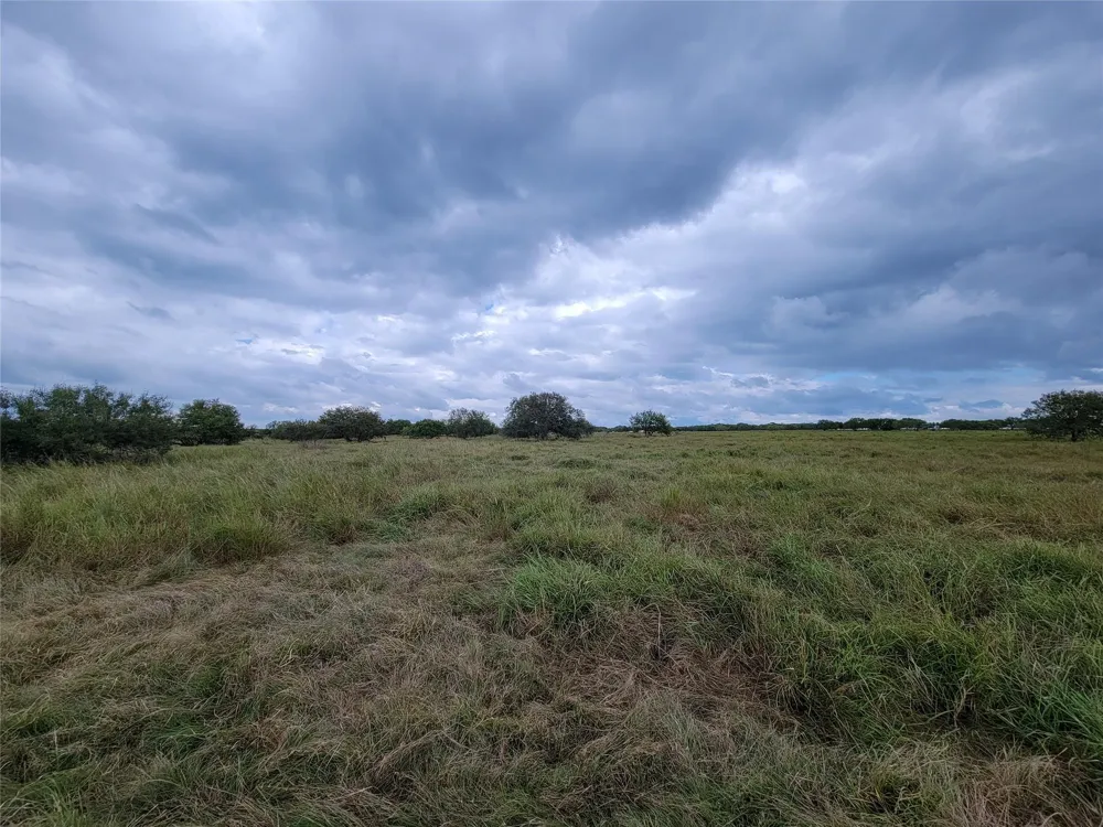 Fm 956 Schulenburg, TX 78956