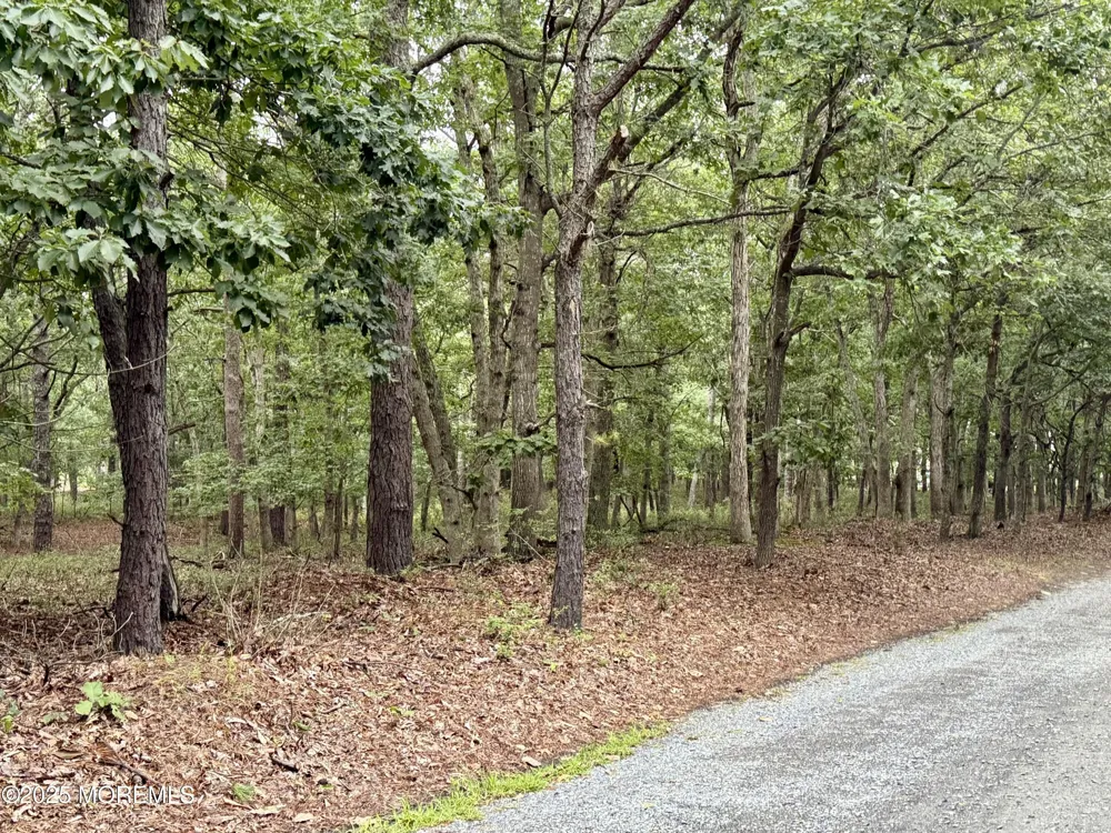 Pinewood Drive Little Egg Harbor, NJ 08087