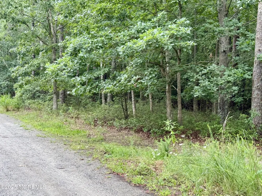 Pinewood Drive Little Egg Harbor, NJ 08087