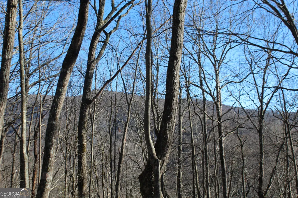TRACT B Highland Cove Hayesville, NC 28904