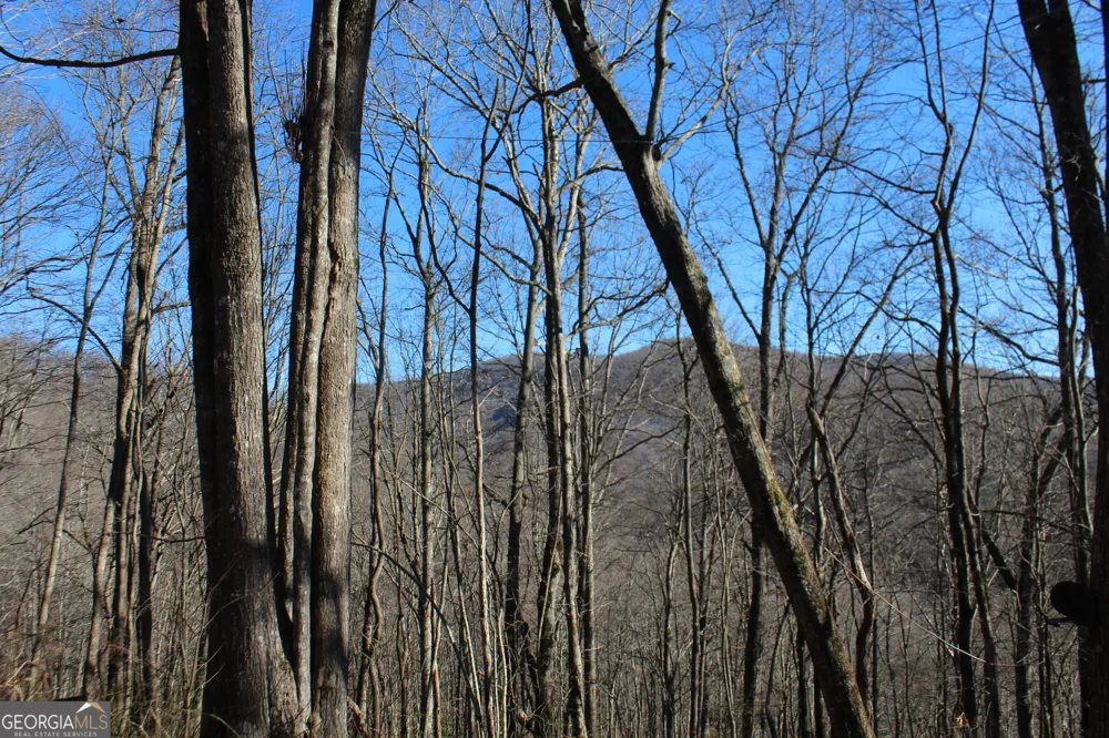 TRACT B Highland Cove Hayesville, NC 28904