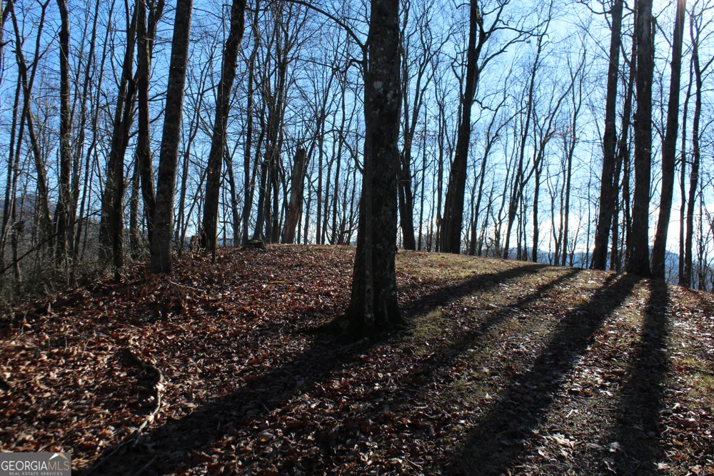 TRACT B Highland Cove Hayesville, NC 28904