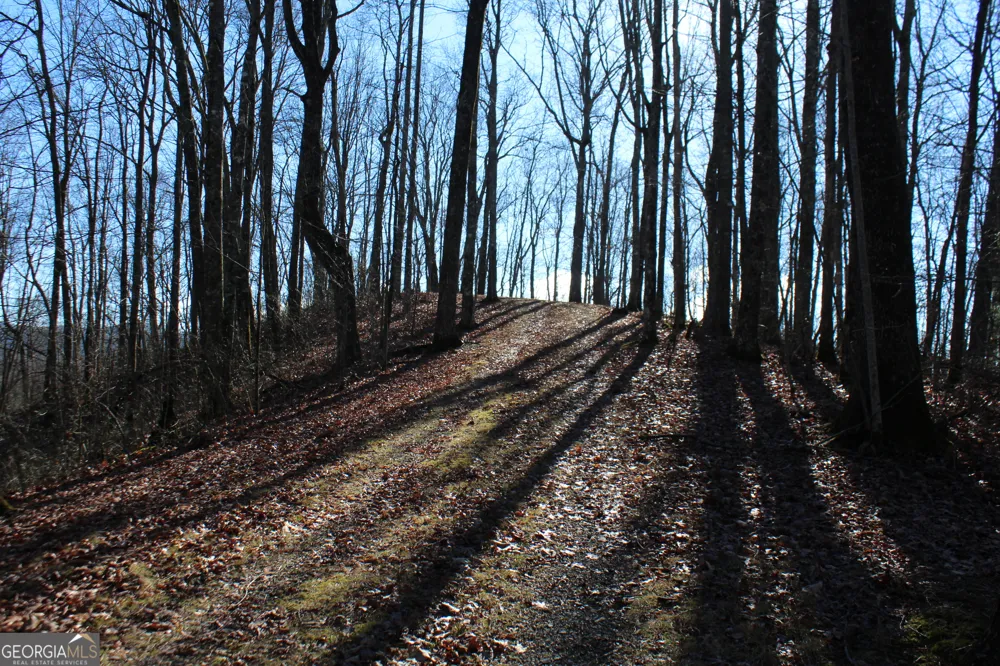 TRACT B Highland Cove Hayesville, NC 28904