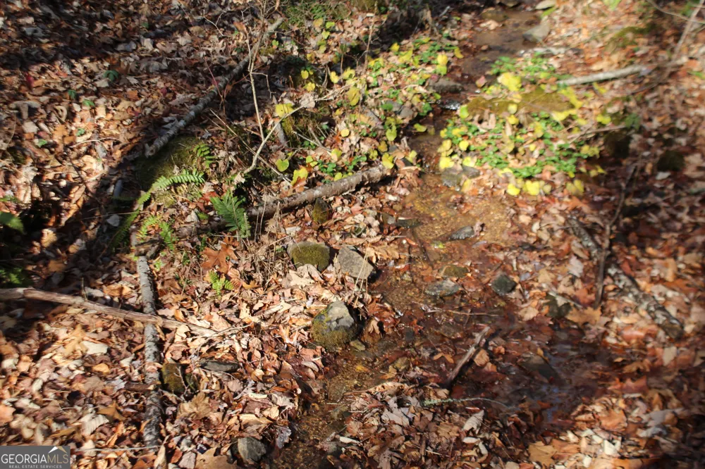 TRACT B Highland Cove Hayesville, NC 28904
