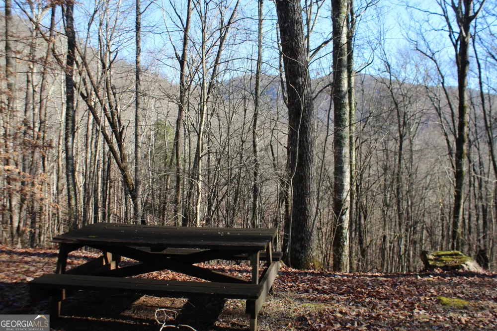 TRACT B Highland Cove Hayesville, NC 28904