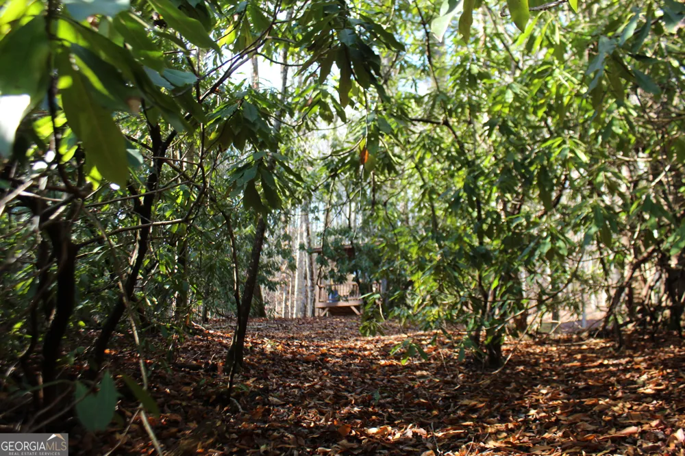 TRACT B Highland Cove Hayesville, NC 28904