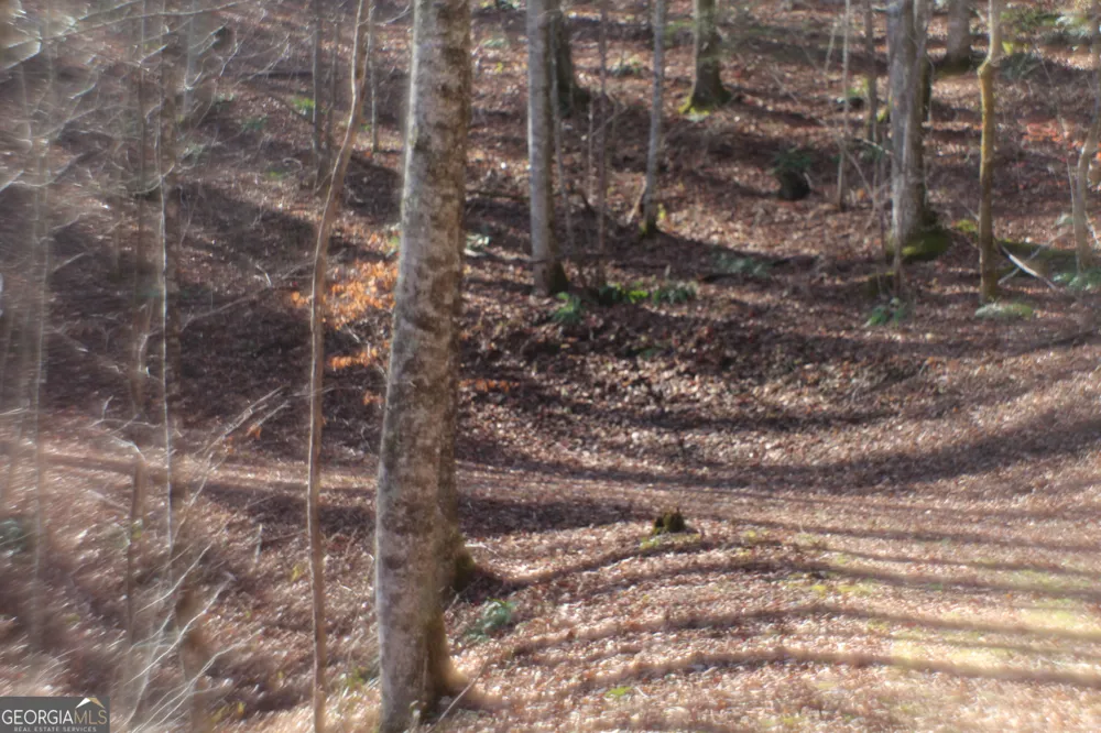 TRACT B Highland Cove Hayesville, NC 28904