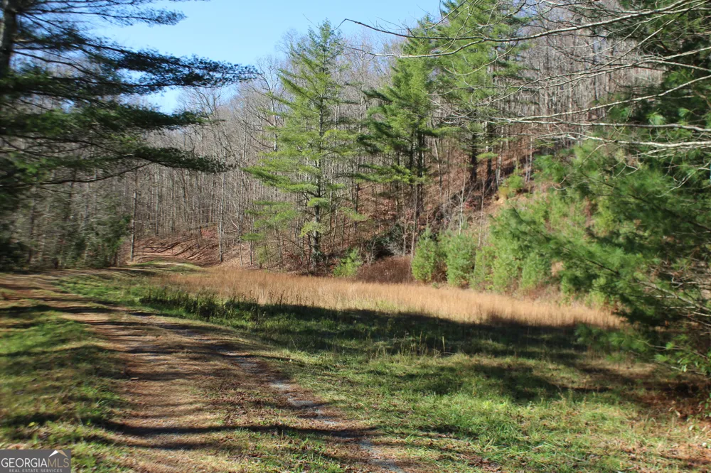 TRACT B Highland Cove Hayesville, NC 28904