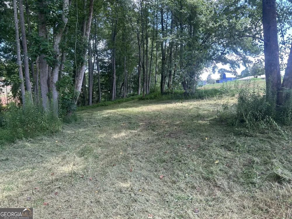 4039 Highway 19 N Dahlonega, GA 30533