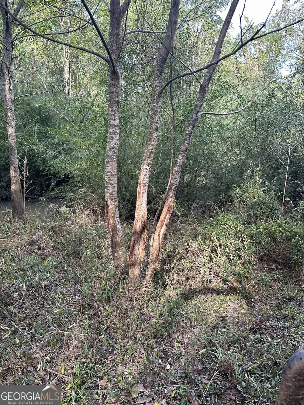 0 seven islands RD Madison, GA 30650