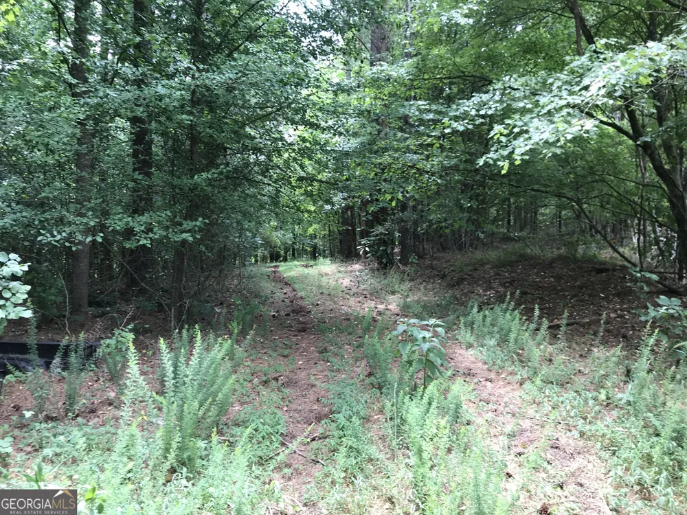 0 Moores Gin RD Fairmount, GA 30139