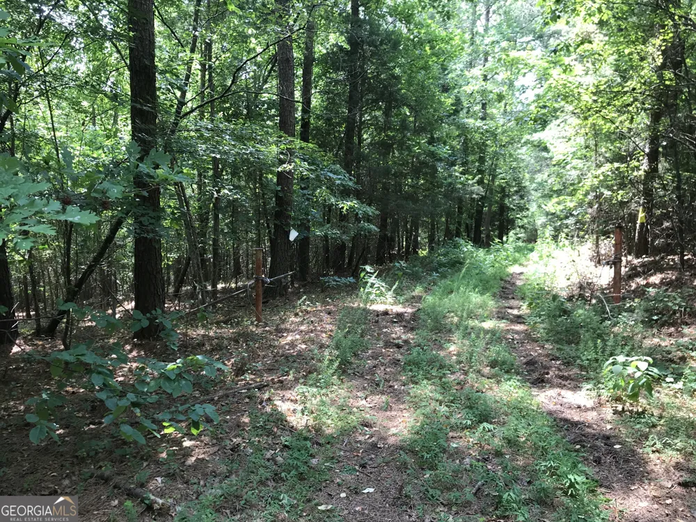0 Moores Gin RD Fairmount, GA 30139