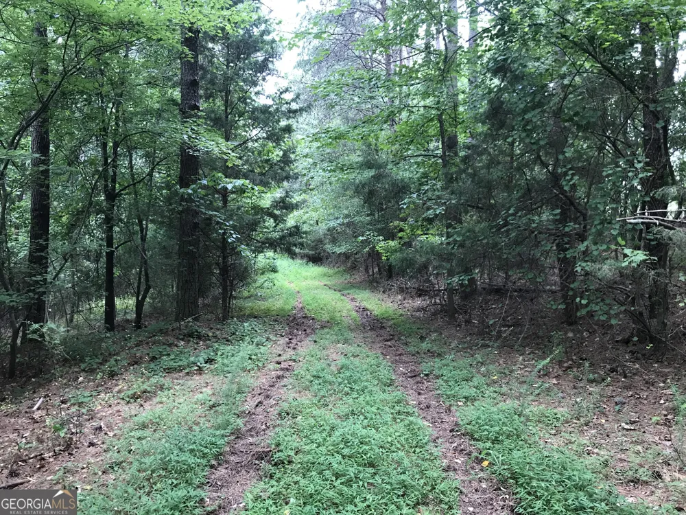 0 Moores Gin RD Fairmount, GA 30139