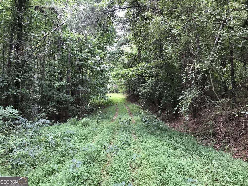 0 Moores Gin RD Fairmount, GA 30139