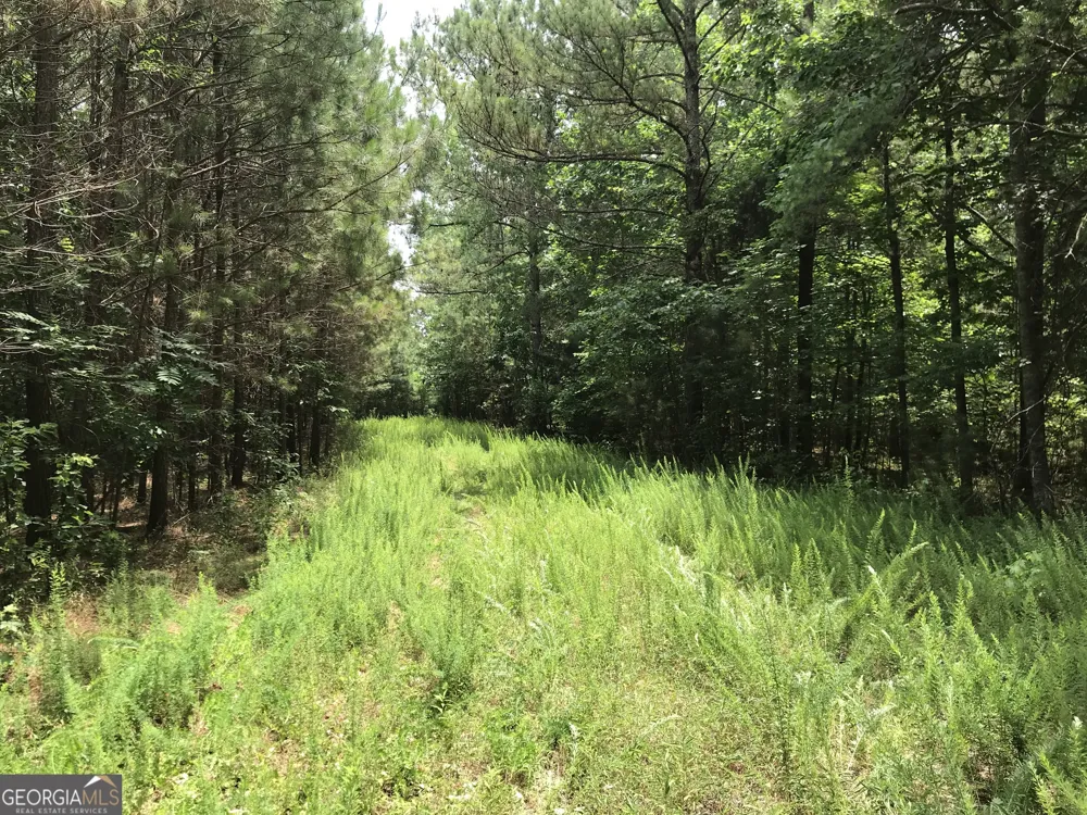 0 Moores Gin RD Fairmount, GA 30139