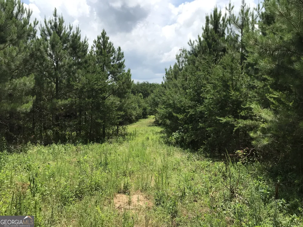 0 Moores Gin RD Fairmount, GA 30139