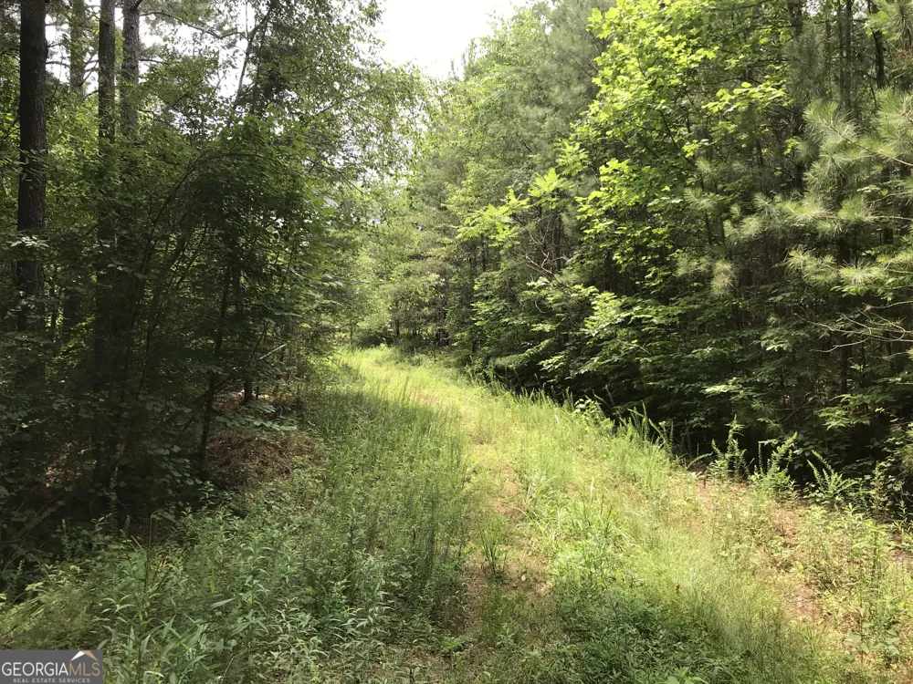 0 Moores Gin RD Fairmount, GA 30139