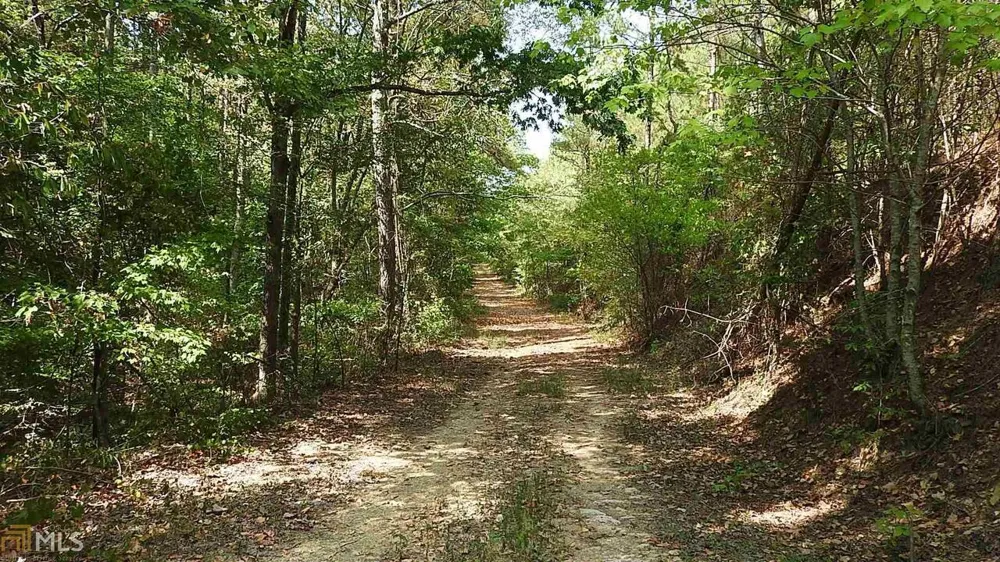 0 NE Nicklesville RD Ranger, GA 30734