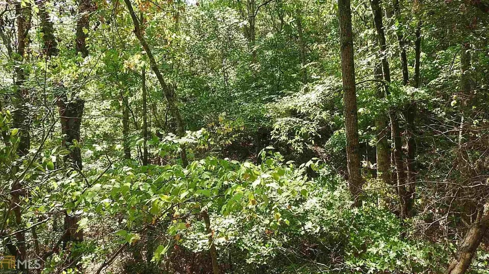 0 NE Nicklesville RD Ranger, GA 30734