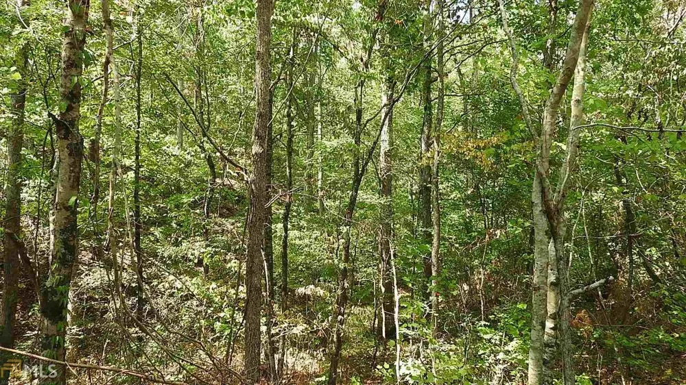 0 NE Nicklesville RD Ranger, GA 30734