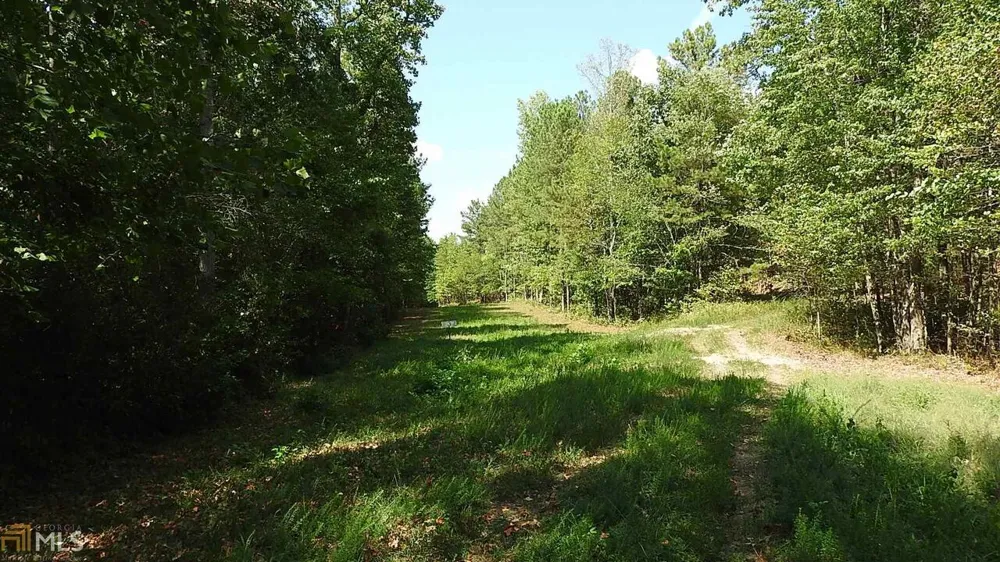 0 NE Nicklesville RD Ranger, GA 30734