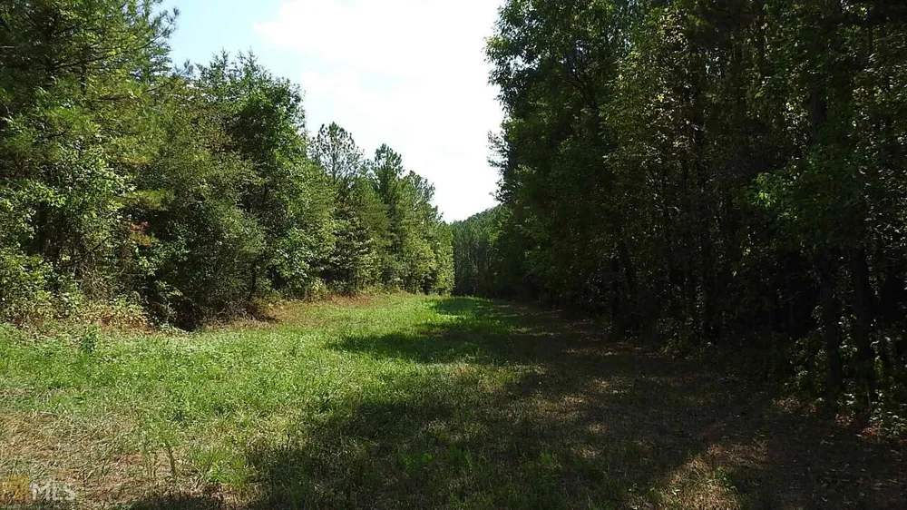 0 NE Nicklesville RD Ranger, GA 30734