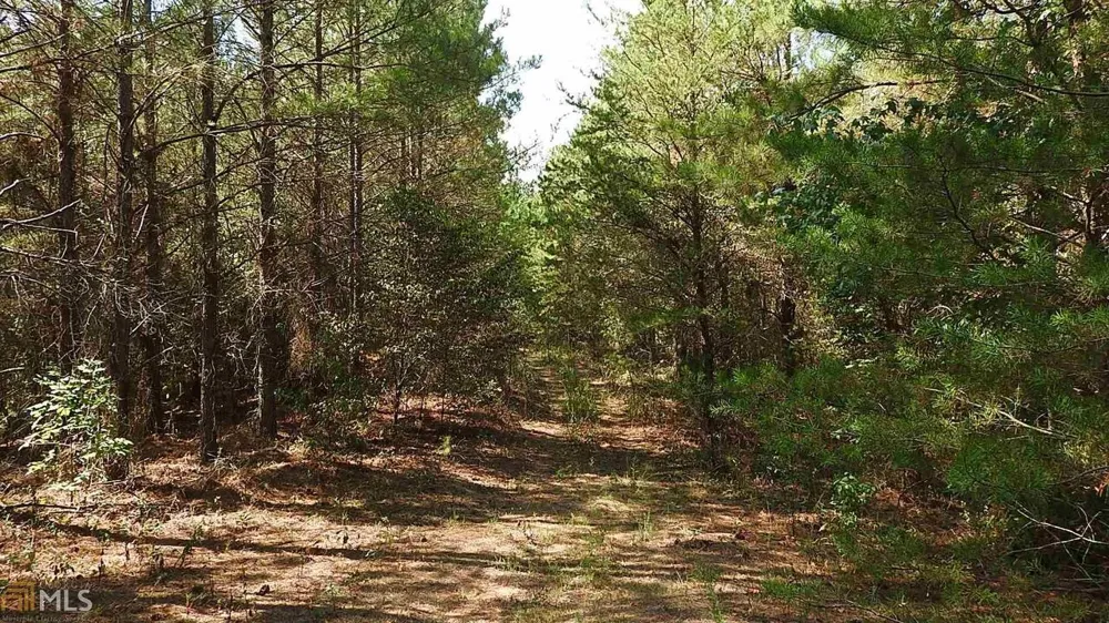 0 NE Nicklesville RD Ranger, GA 30734