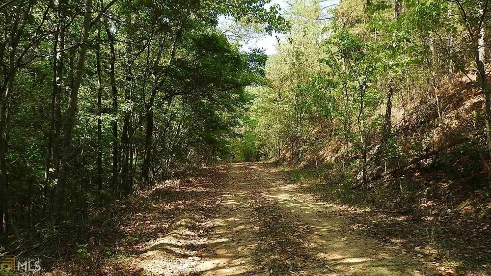 0 NE Nicklesville RD Ranger, GA 30734