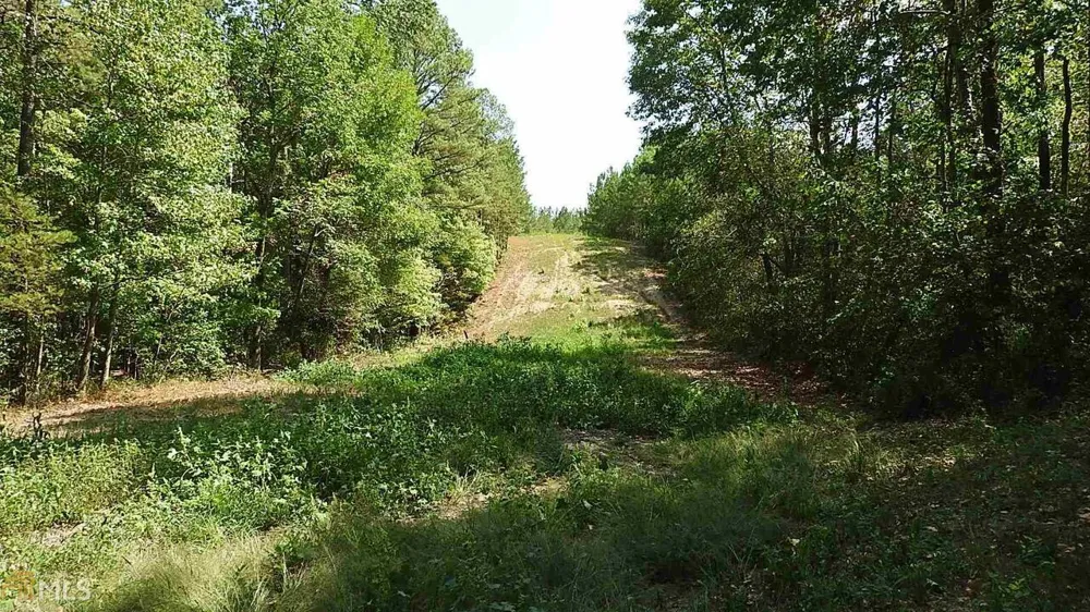 0 NE Nicklesville RD Ranger, GA 30734