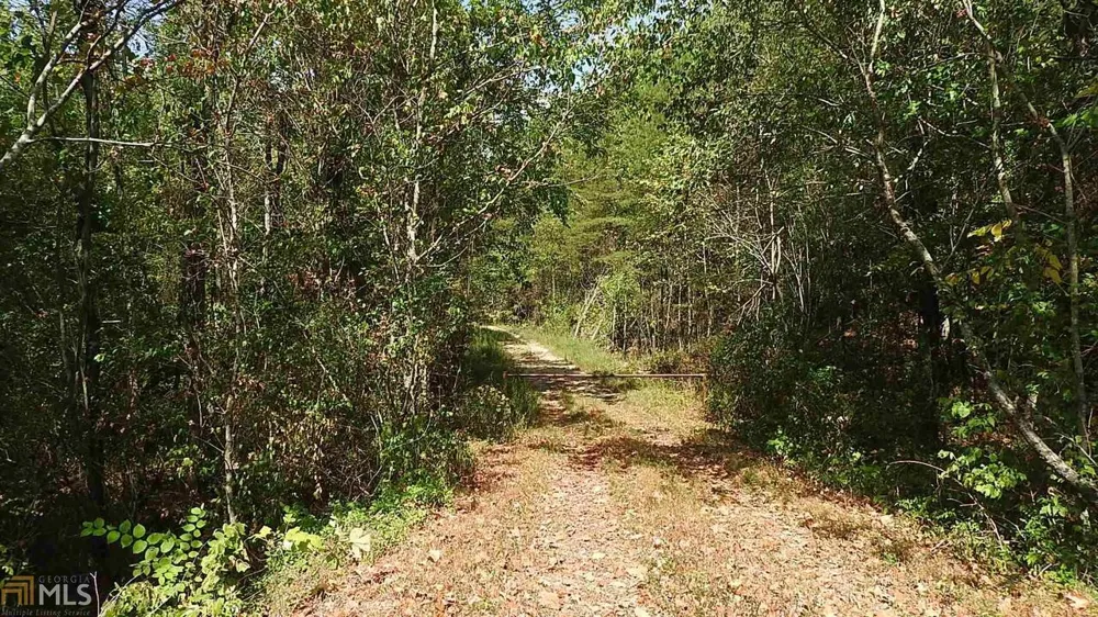 0 NE Nicklesville RD Ranger, GA 30734
