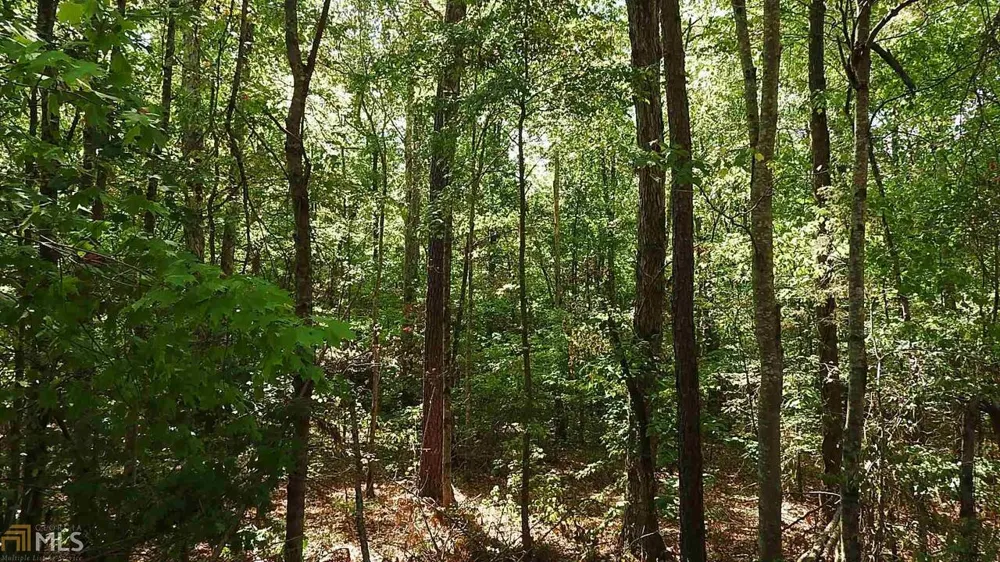 0 NE Nicklesville RD Ranger, GA 30734