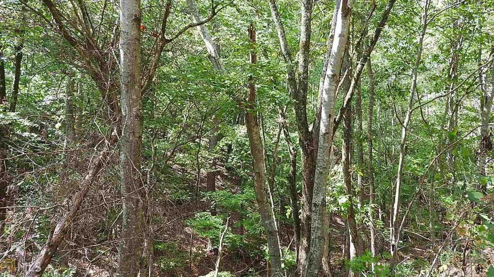 0 NE Nicklesville RD Ranger, GA 30734