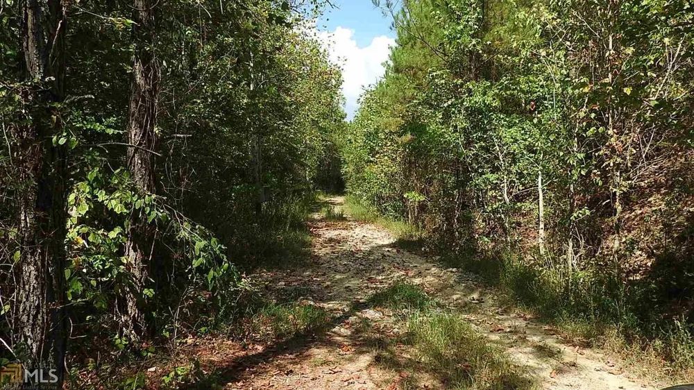 0 NE Nicklesville RD Ranger, GA 30734