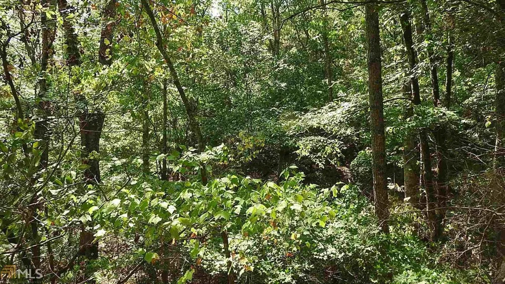 0 NE Nicklesville RD Ranger, GA 30734