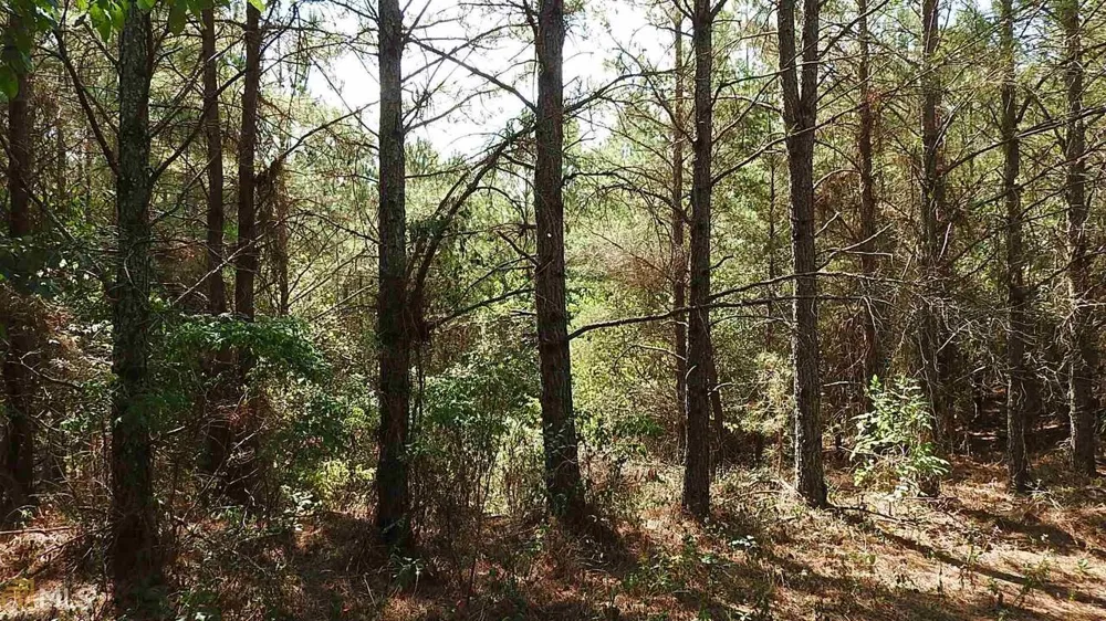 0 NE Nicklesville RD Ranger, GA 30734
