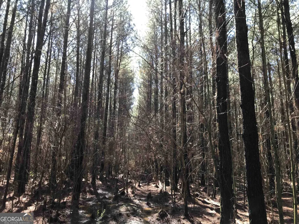 0 Covington Bridge RD Calhoun, GA 30701
