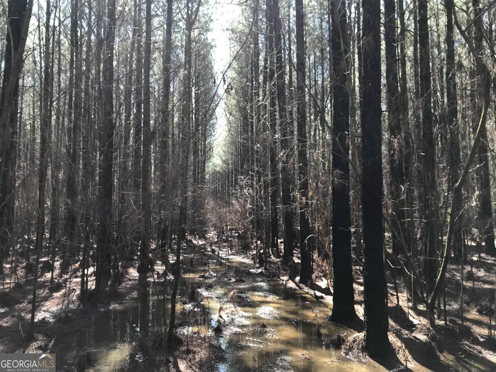 0 Covington Bridge RD Calhoun, GA 30701