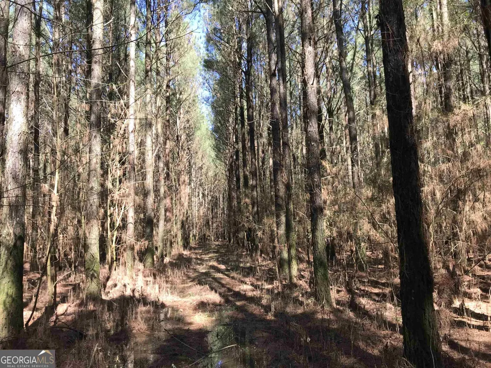 0 Covington Bridge RD Calhoun, GA 30701