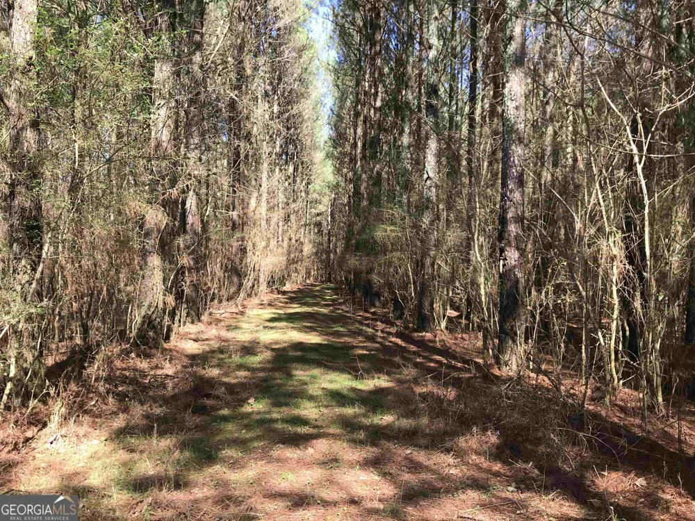 0 Covington Bridge RD Calhoun, GA 30701