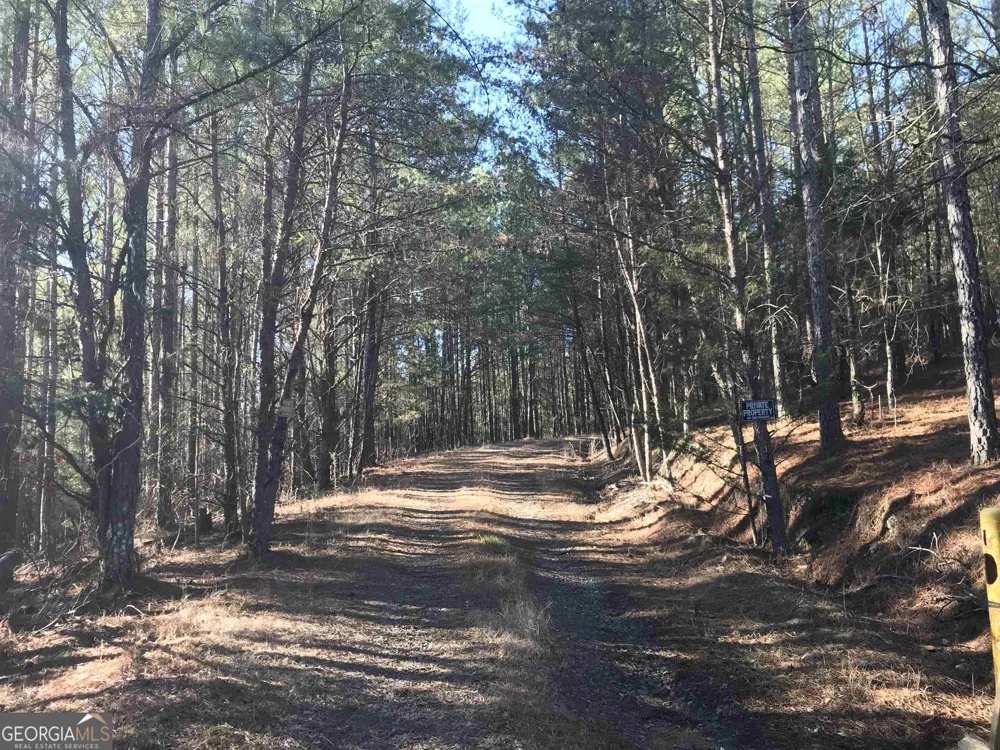 0 Redbud RD NE Ranger, GA 30734