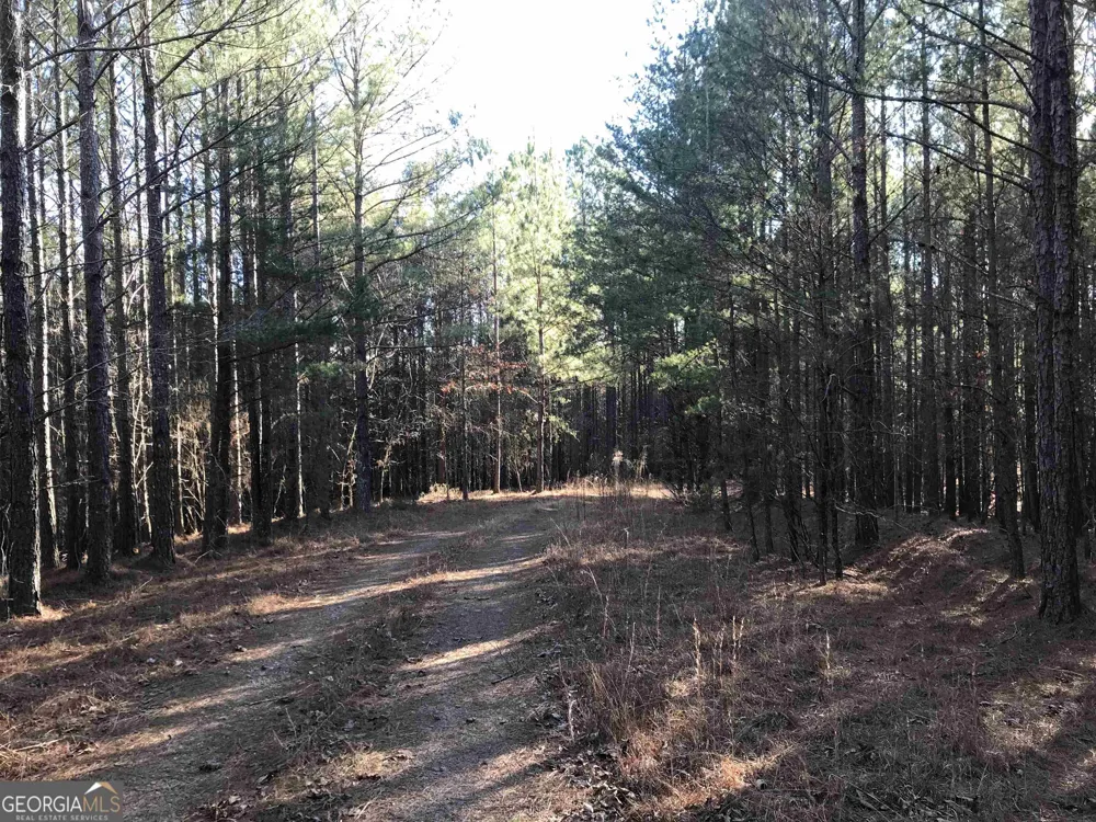 0 Redbud RD NE Ranger, GA 30734