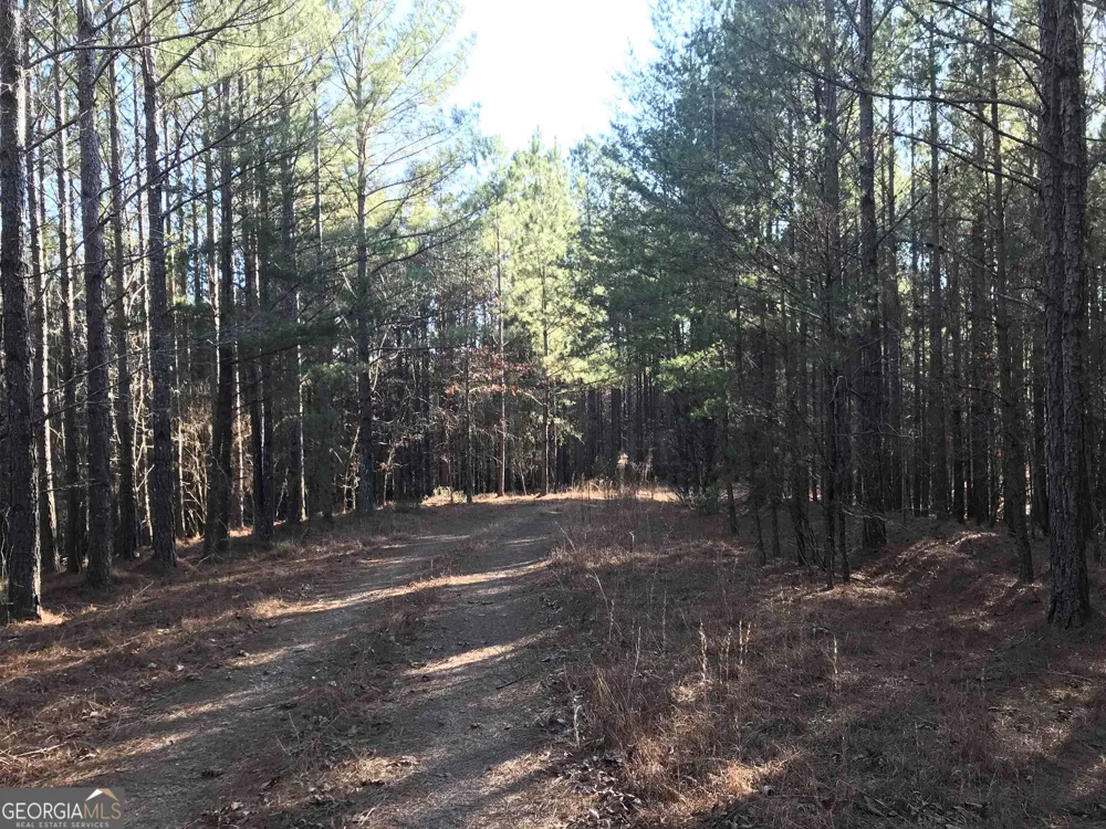 0 Redbud RD NE Ranger, GA 30734