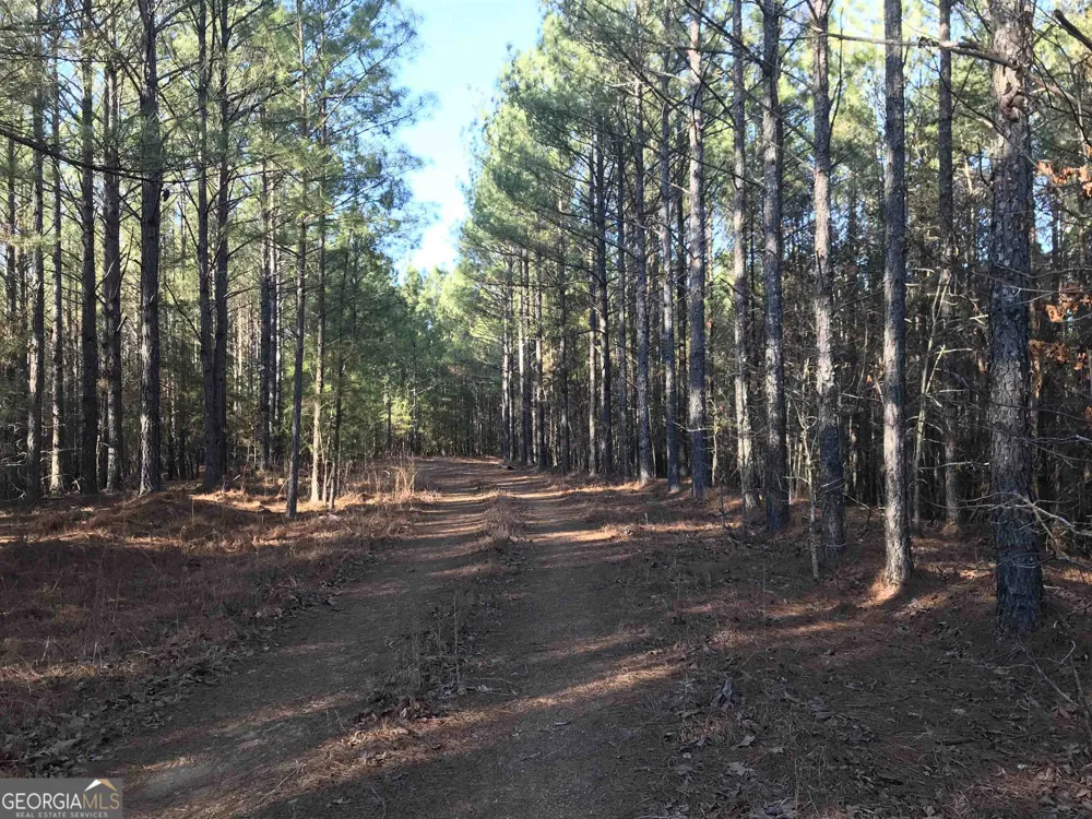 0 Redbud RD NE Ranger, GA 30734