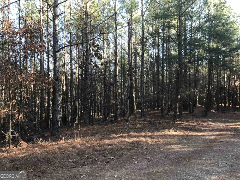 0 Redbud RD NE Ranger, GA 30734